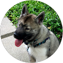 iPanic profile picture